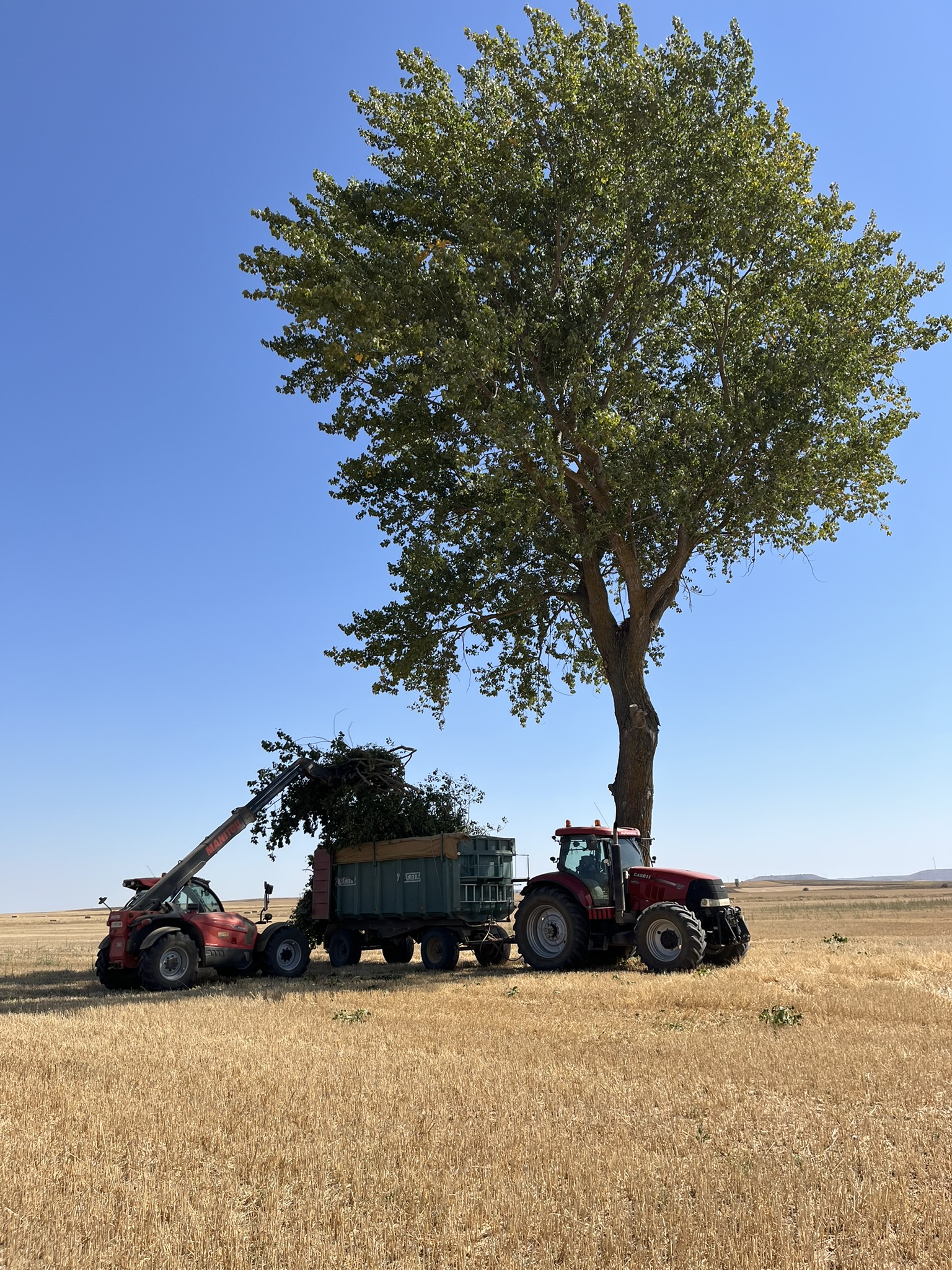 tractor5